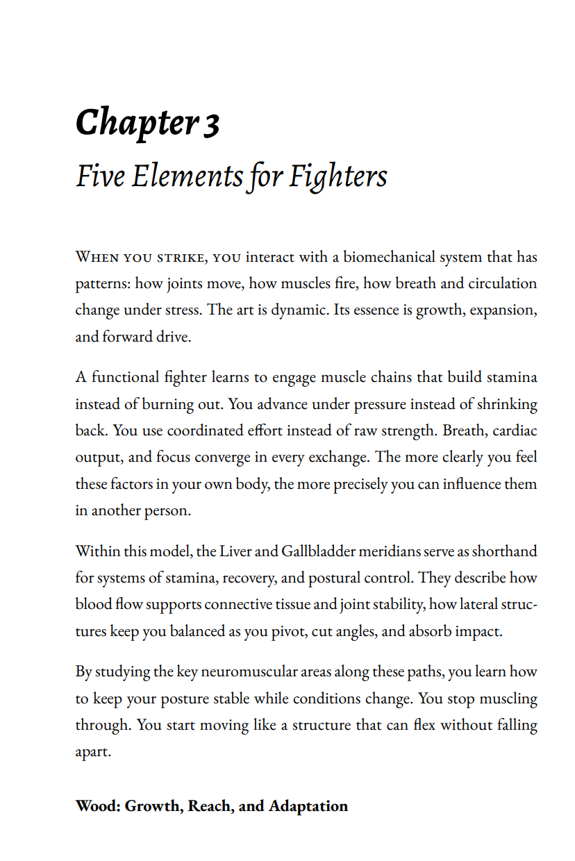 Internal Martial Science: Mapping the Weaknesses of the Human Body (epub version)