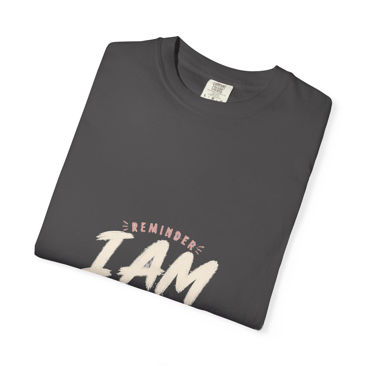Reminder I Am The Prize Tee